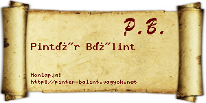 Pintér Bálint névjegykártya