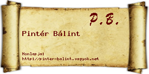 Pintér Bálint névjegykártya